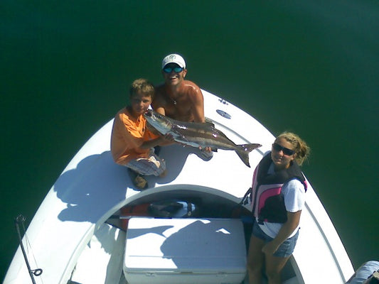 Great Day in the Bay