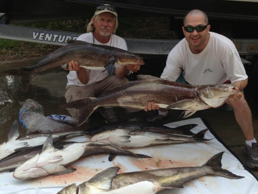 fishing Report 6/09/13