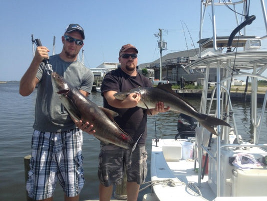 Fishing Report 9/10/13