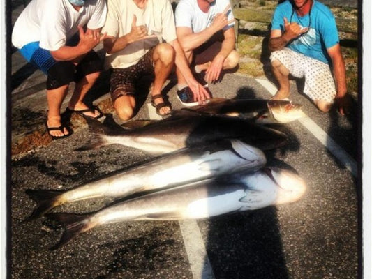 Cobia Fishing Report 5/12/14