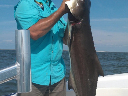 Fishing Report 7/08/2013