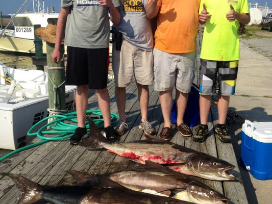 Fishing Report 6/12/14