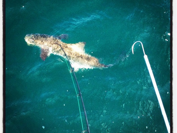 Fishing Report 6/11/14
