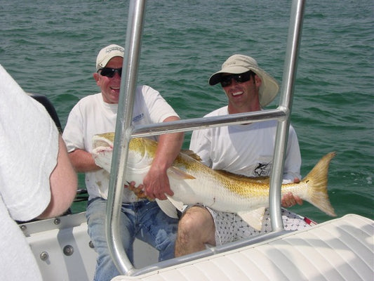 50lb Red Drum