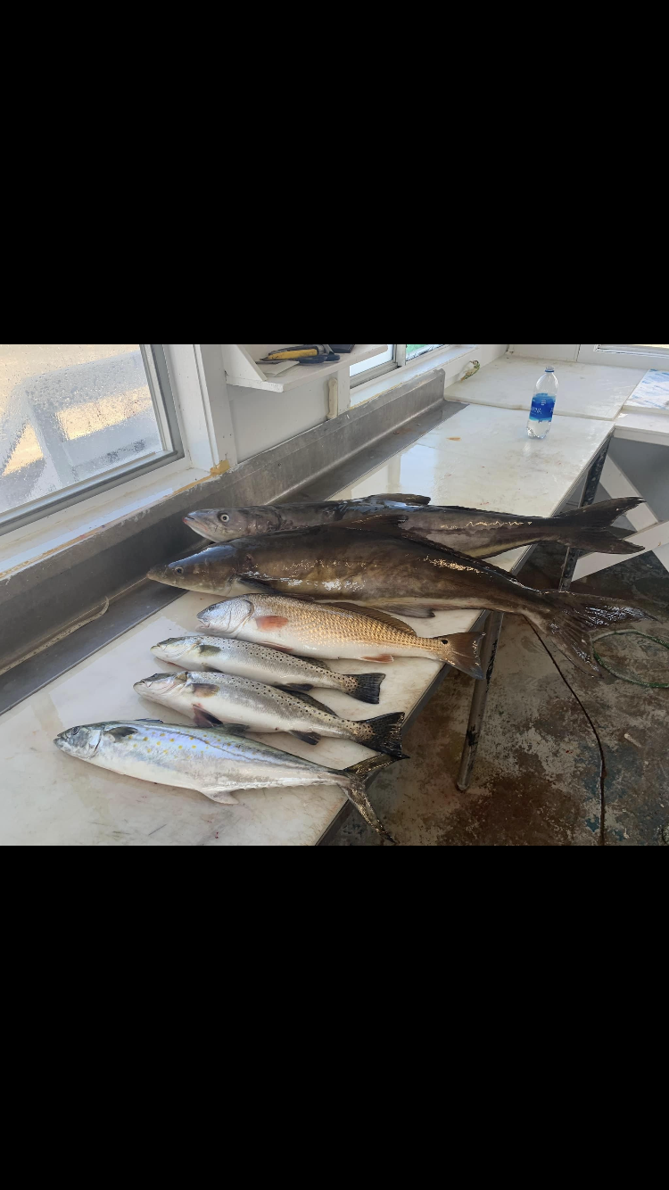 *FULL Day Charter