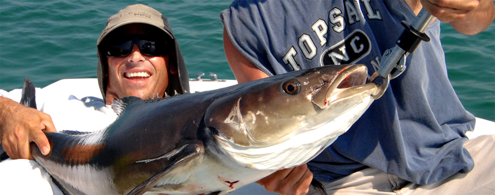 1 Cobia Fishing Charter Nags Head - Outer Banks Fishing Charter